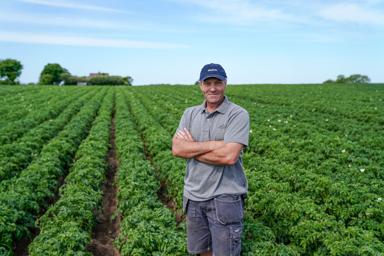 Kenneth Johansson är en av SydGrönts odlare som står i ett grönt och frodigt potatisfält